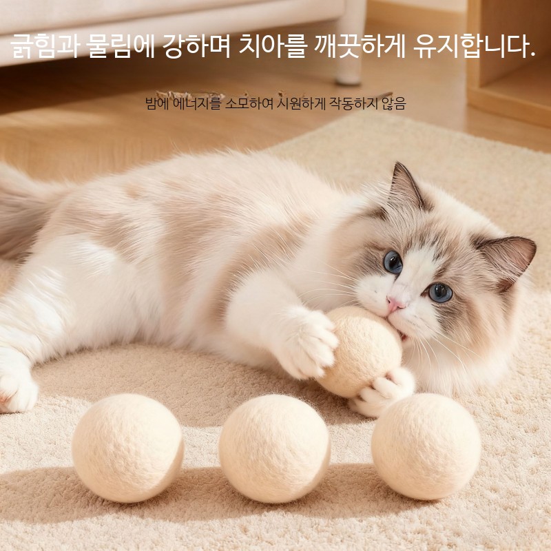 고양이장난감공 양모 무소음 사냥놀이 반려묘 자가놀이 내구성 고양이움직이는장난감 - 상품 이미지