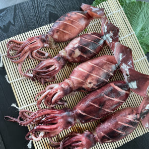 키치온 구룡포 초코 총알 통찜용 오징어 500g 1kg 급냉 생물 내장 ... 맛있게 먹은 솔직 후기 - 상품 이미지 2