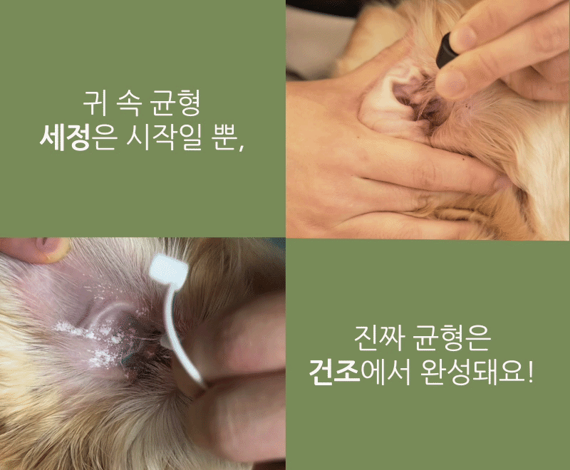 교감 효소 3단계 루틴 키트 외이염 귀세정제 귓병 예방 판매처 상세 정보 이미지 4