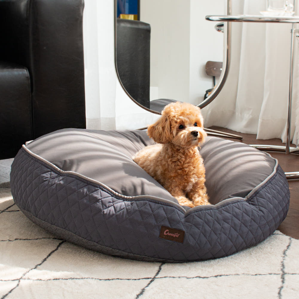 초코펫 강아지방석 애견 쿠션 침대 편안한 무중력 우주방석 2.0 사계절 소형 제품 이미지