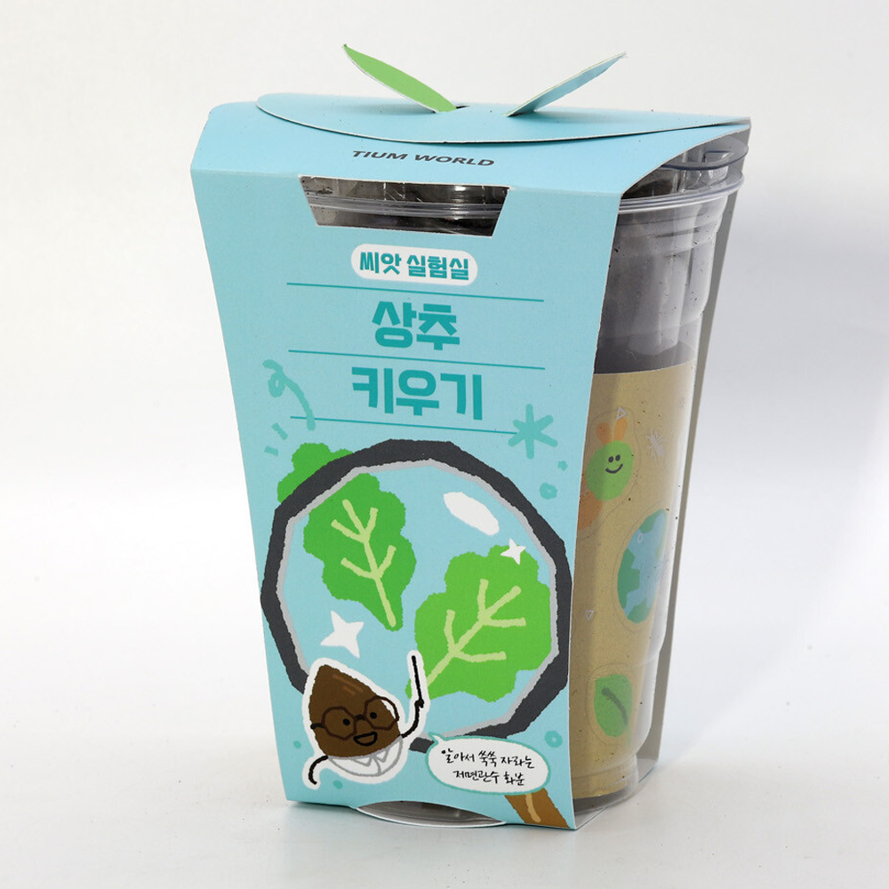 상추 씨앗 상추씨 키우기 식물키트 저면관수 - 상세 이미지 2