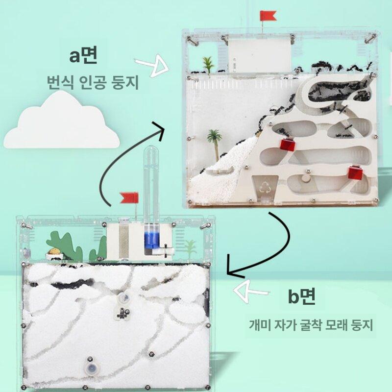 개미사육장 여왕개미 투명 관찰 애완용 흰색 키우기 화이트 + 블랙 앵무새 1개 알 + 60개 - 상세 이미지 3