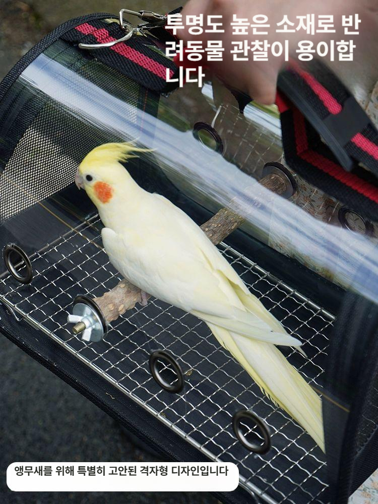 앵무새이동가방 투명 매쉬 이동장 휴대용 새장 케이지 외출 앵무새 - 상세 이미지 2