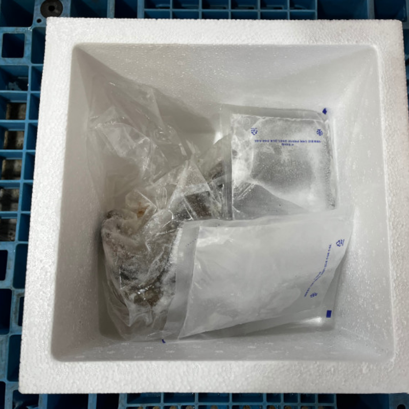 자연가득 급냉 국내산 대구 1.5kg 1~3미 내외 - 상세 이미지 5