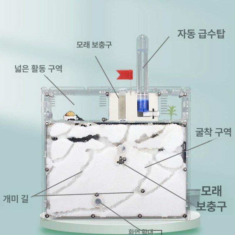 개미사육장 여왕개미 투명 관찰 애완용 흰색 키우기 화이트 + 블랙 앵무새 1개 알 + 60개 - 상세 이미지 4