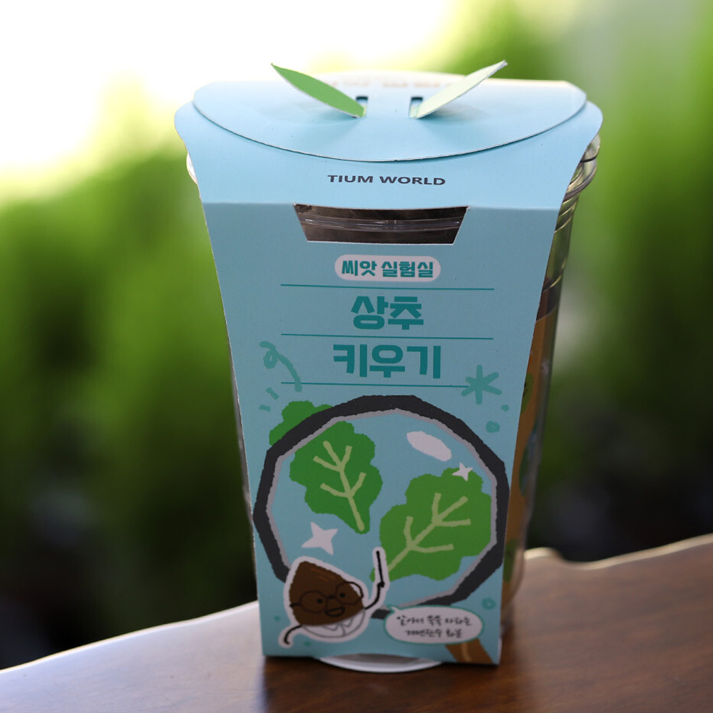 상추 씨앗 상추씨 키우기 식물키트 저면관수 - 상세 이미지 4