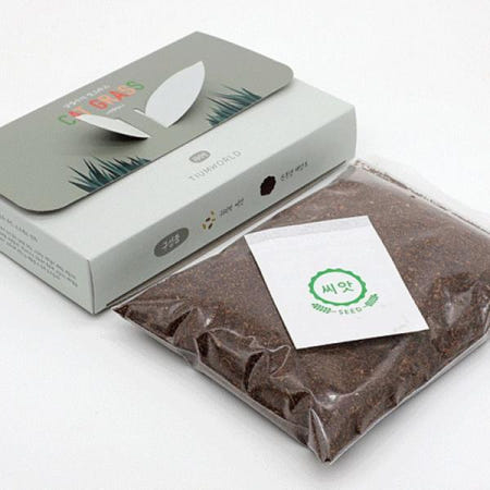 캣글라스 캣그라스 고양이풀 씨앗 흙 세트