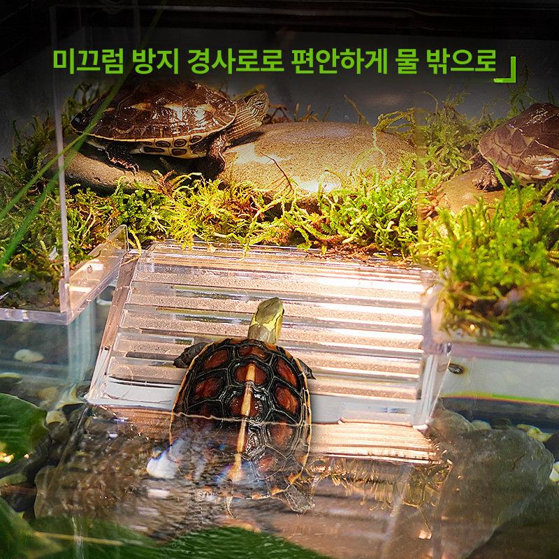 거북이 육지 쉼터 터틀홈 애완용 사육장 놀이터 일광욕 20cm 소형 거북이 선룸 30-50cm - 상세 이미지 5