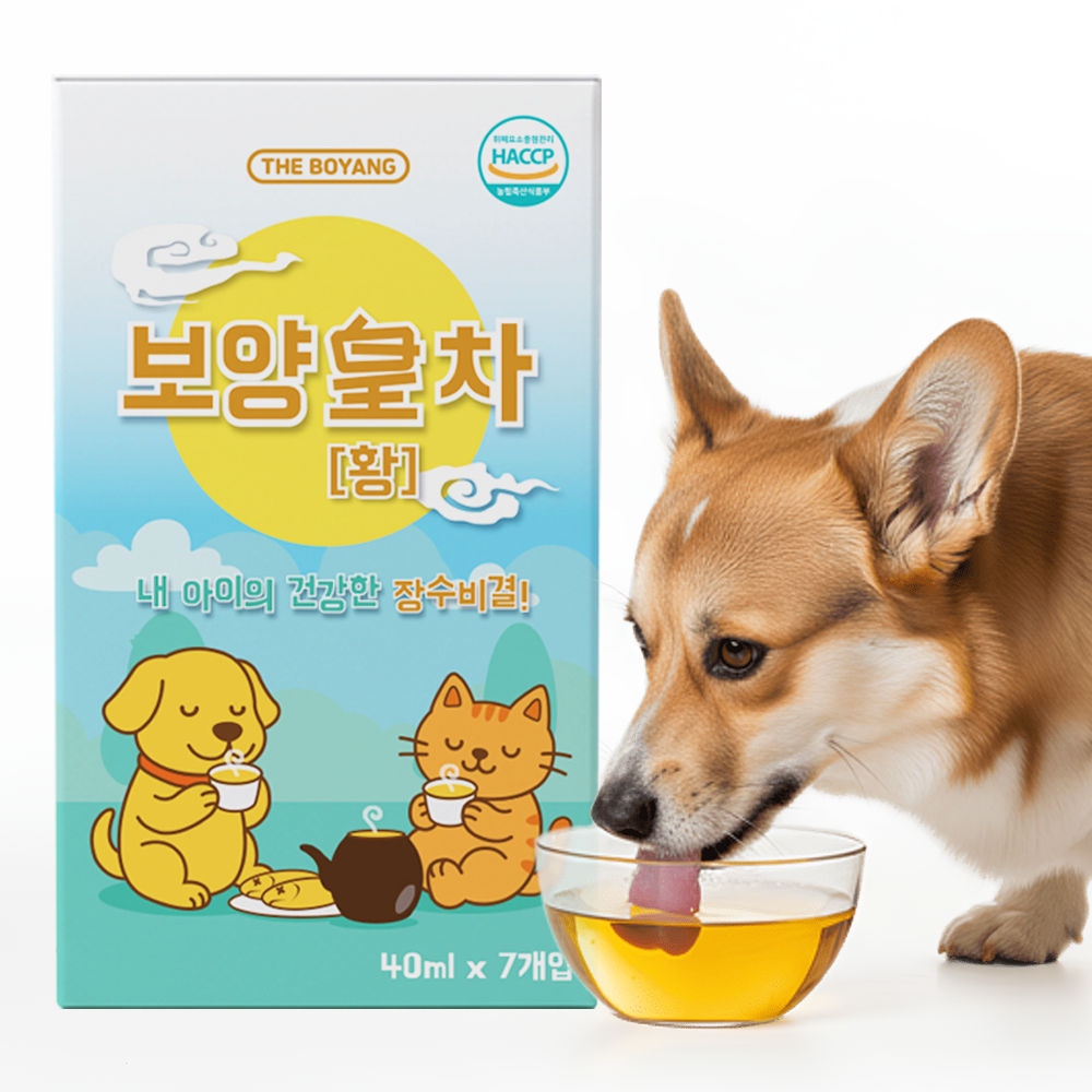 강아지 보약 보양황차 반려견 건강관리 강아지 건강 반려견 보약
