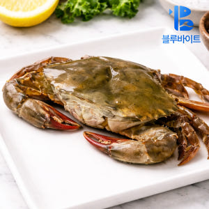 소프트쉘크랩 900g 껍질째 먹는 톱날꽃게 머드크랩 푸팟퐁커리 맛있게 먹은 솔직 후기 - 상품 이미지 1