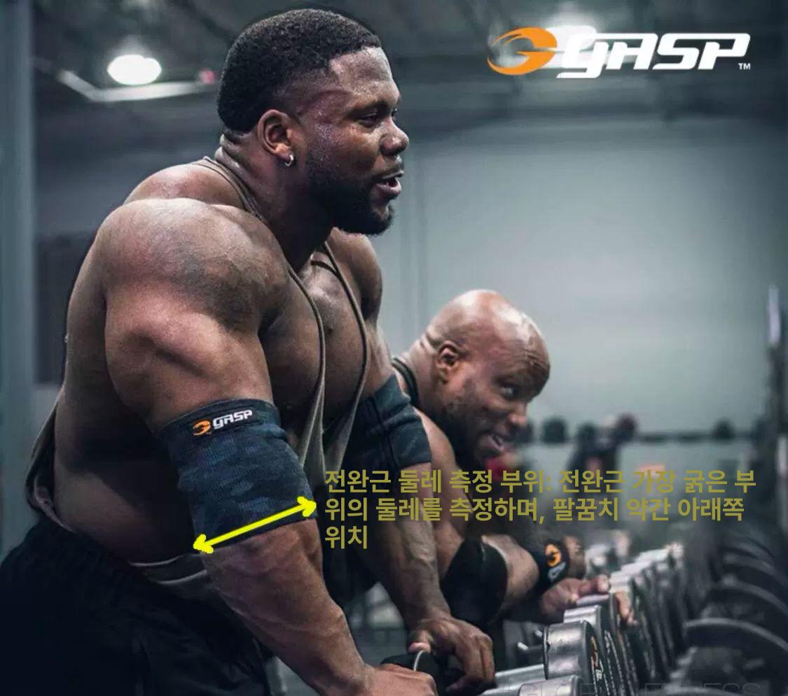 가스프 엘보우 슬리브 고강도 웨이트트레이닝 헬스 운동용 팔꿈치 보호 고탄력 압박 지지 카모플라주블랙 세트 13 5 (36.2cm) - 상세 이미지 2