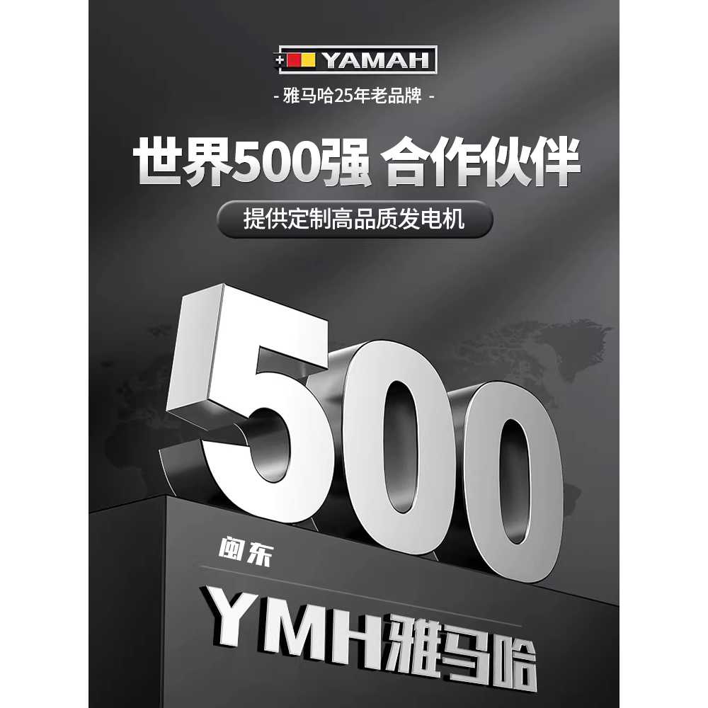 24V 발전기 주차 가솔린 전기 인버터 원격제어 시동기 3KW - 상세 이미지 3