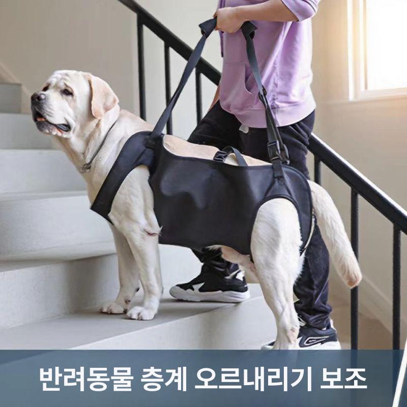강아지 허리보호대 하네스 S 벨트 보조 노견 애완동물 강아지 여행 보조 스트랩 S (6-12.5kg) - 상세 이미지 3
