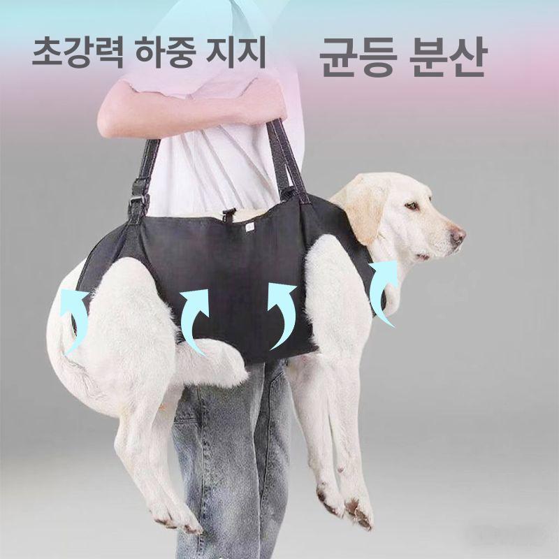 강아지 허리보호대 하네스 S 벨트 보조 노견 애완동물 강아지 여행 보조 스트랩 S (6-12.5kg) - 상세 이미지 4