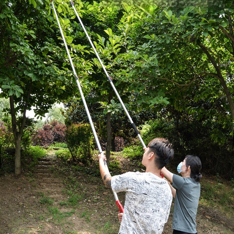 고지가위 장대 집게 과일따기 열매수확기 고지전지 원예공구 과수작업 농작업 수확도구 - 상세 이미지 2