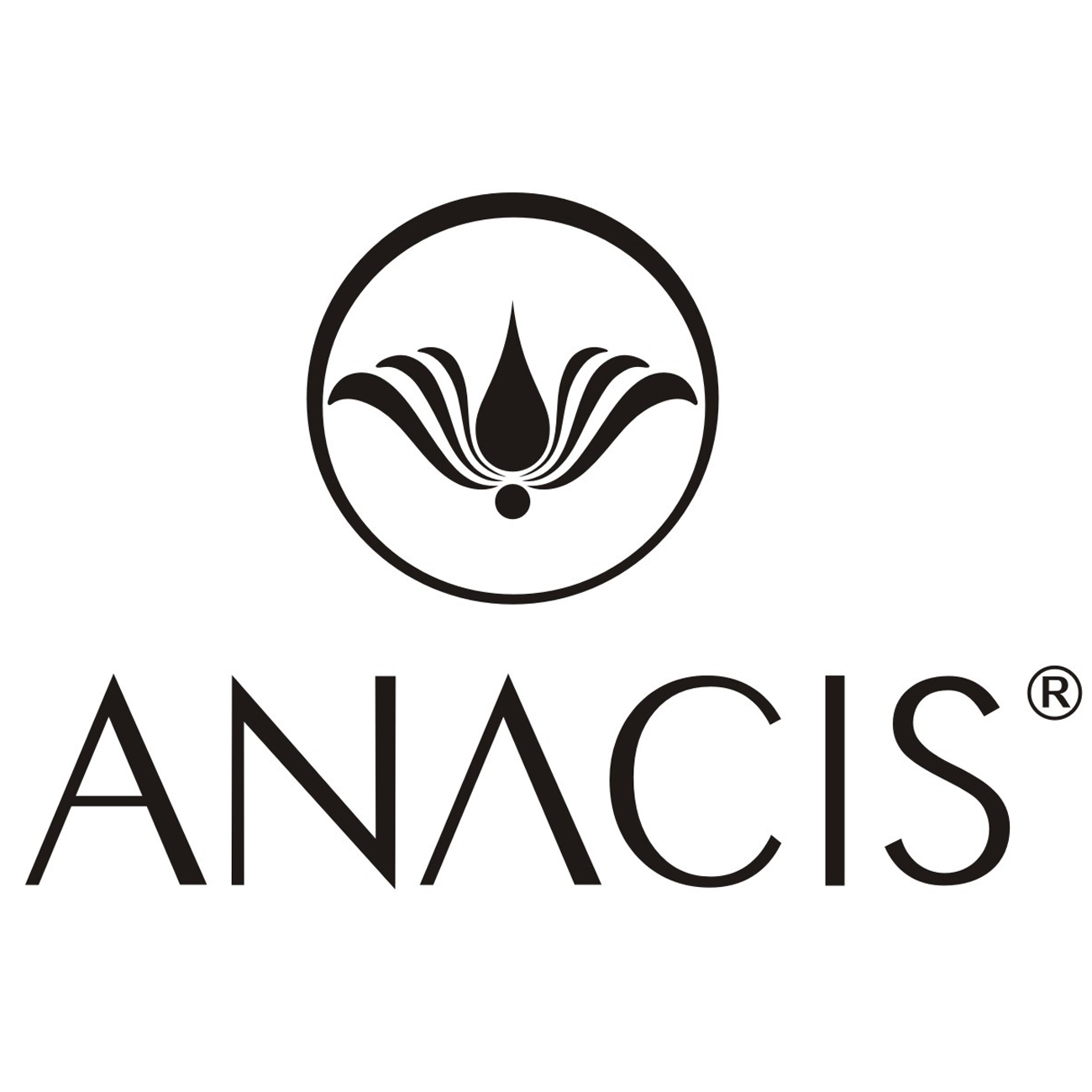 ANACIS - 아나시스 스토어 로고