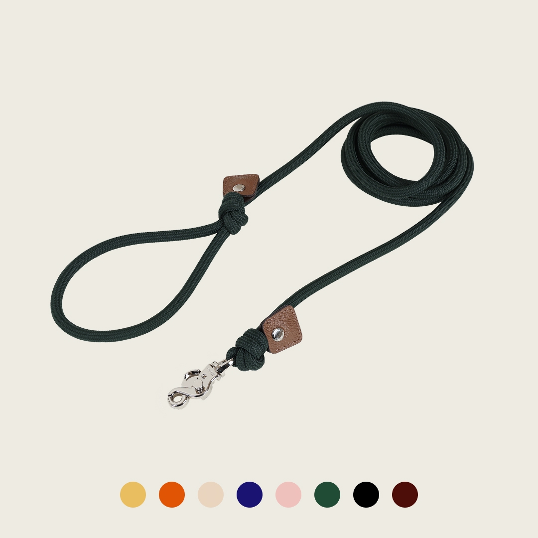 [강아지의날] 호지 에센셜 리쉬 가벼운 강아지 로프 산책줄 리드줄 소형견... 솔직 후기 | 실제 사용자 리뷰 총정리 - 대표 이미지