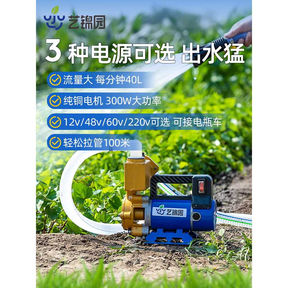 고출력 전기 양수기 인공물 농업용 용 물 관수기 펌프 12V 300W 10m - 상세 이미지 2