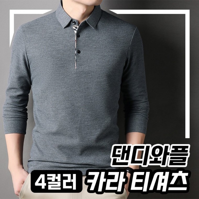 댄디와플 카라티셔츠 4color / 간절기티셔츠 남성카라티 - 상품 이미지