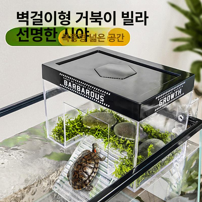 거북이 육지 쉼터 터틀홈 애완용 사육장 놀이터 일광욕 20cm 소형 거북이 선룸 30-50cm - 상세 이미지 3