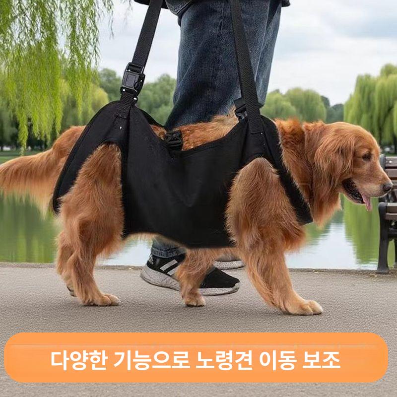 강아지 허리보호대 하네스 S 벨트 보조 노견 애완동물 강아지 여행 보조 스트랩 S (6-12.5kg) - 상세 이미지 5