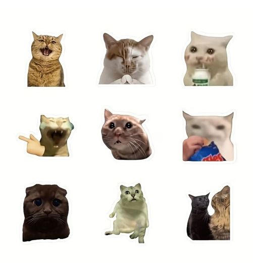 고양이 스티커 100P 다꾸 폰꾸 핸드폰 노트북 폰 캐리어 다이어리 꾸미기 데코 밈 스티커 이미지 7