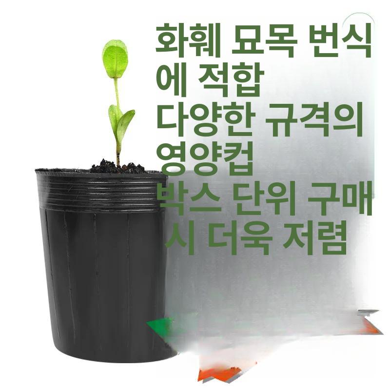대형 비닐포트 소형 모종 비닐 육묘 중형 개입 분갈이 모종화분 글램핑 토분 플라스틱 연마 - 상세 이미지 3