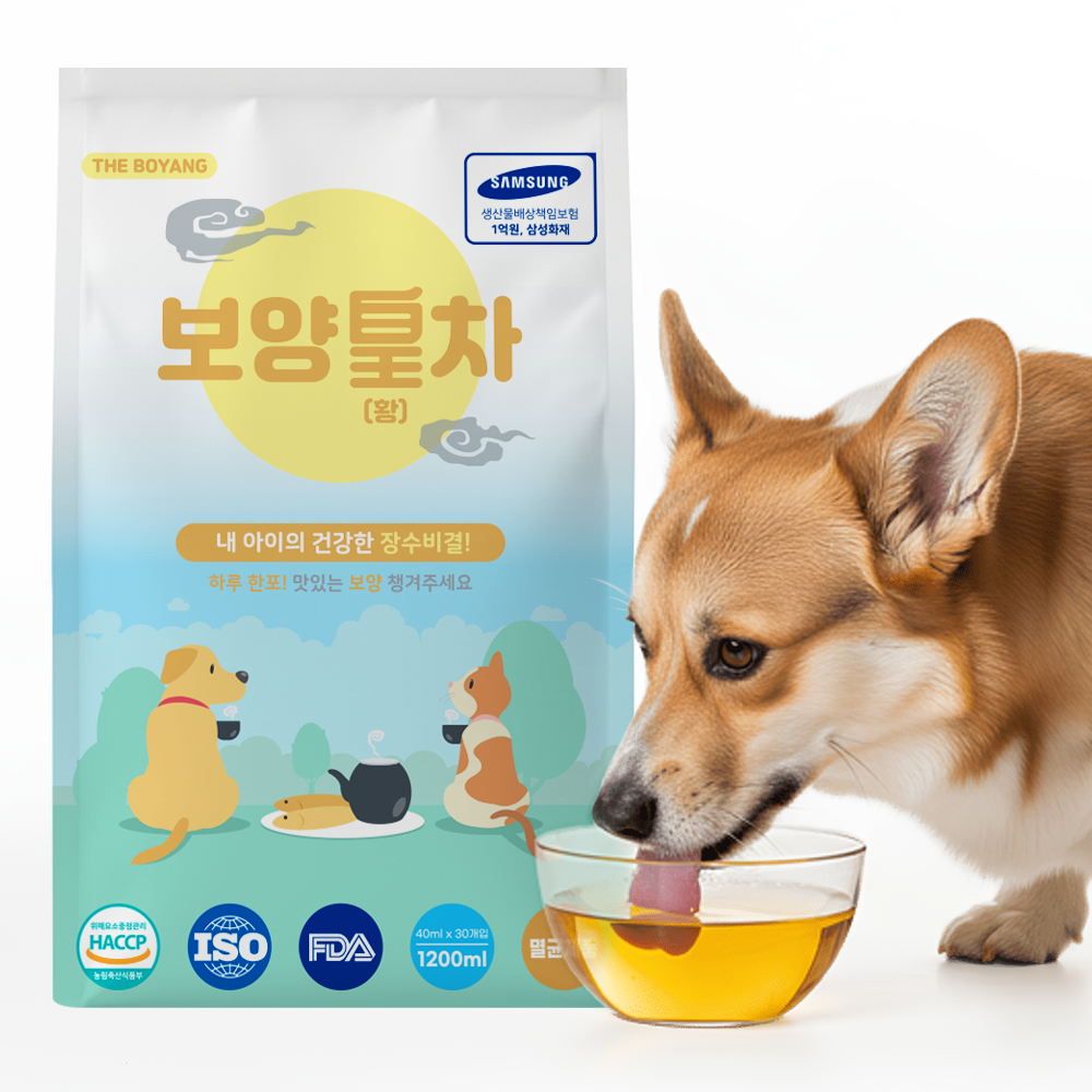 강아지 보약 황태 음료 노견 면역 영양 회복식 강아지 건강