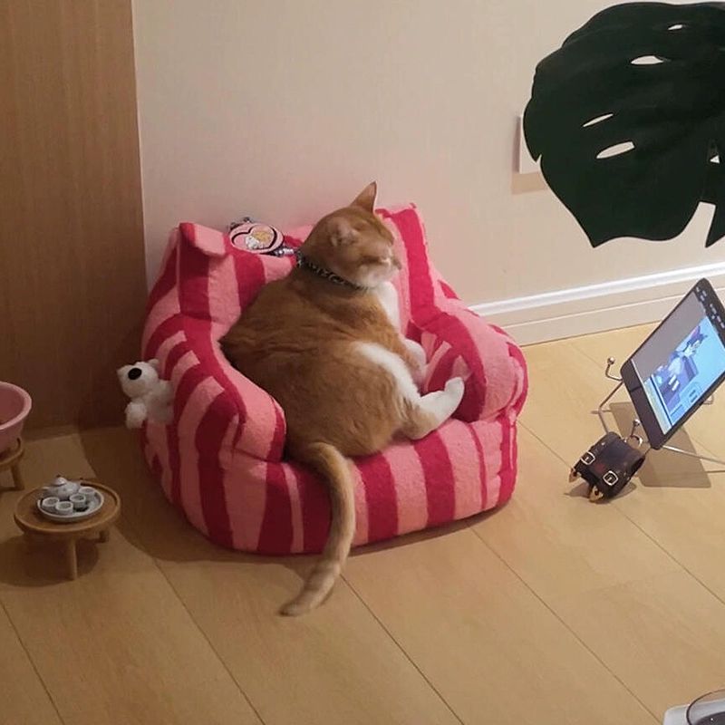 고양이 미니 소파 방성 강아지 쇼파 감성 침대 미디엄 블랙 스트라이프 도파민 소형 45x45x35cm [4kg이하고양이용] - 상세 이미지 2