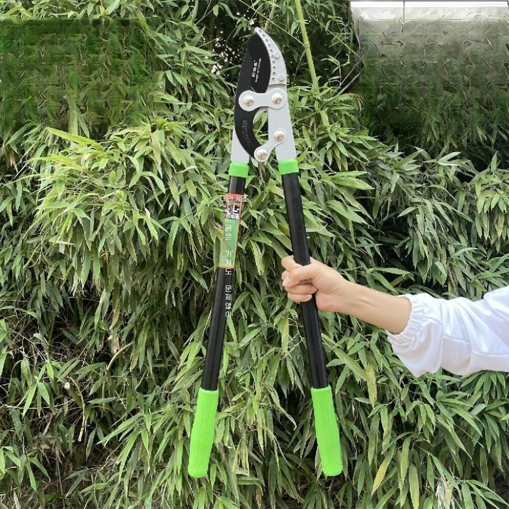 전정가위 나뭇가지 나무 대형 분재 전지가위 수동 손잡이 과수원 가위 가지치기 - 상품 이미지