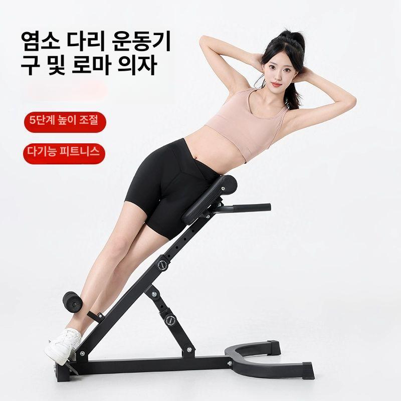백 익스텐션 머신 기구 홈트 코어 모델 가정용 운동 체어 홈짐 강화 장비 헬스 - 상세 이미지 4