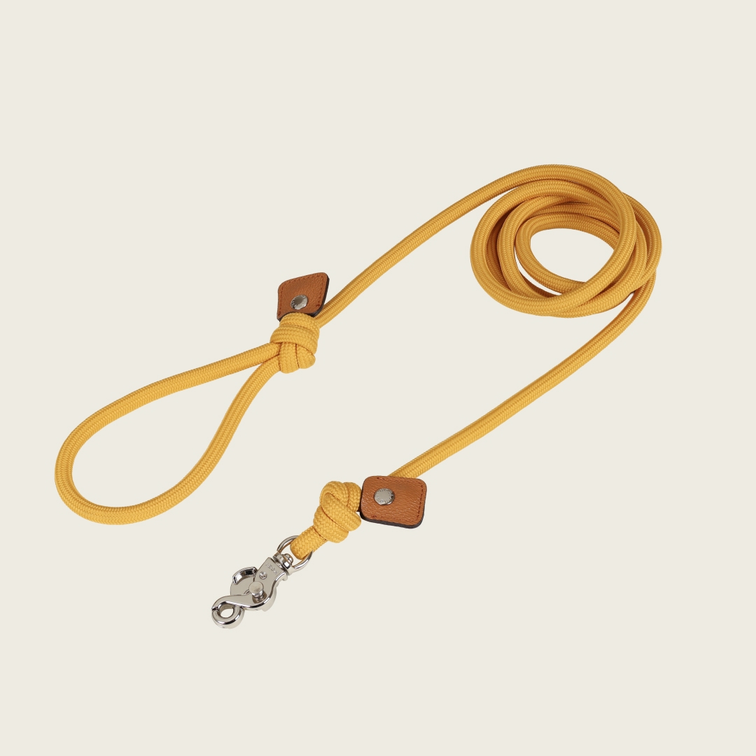 [강아지의날] 호지 에센셜 리쉬 가벼운 강아지 로프 산책줄 리드줄 소형견 중형견 대형견 반려견 용품 이미지 3