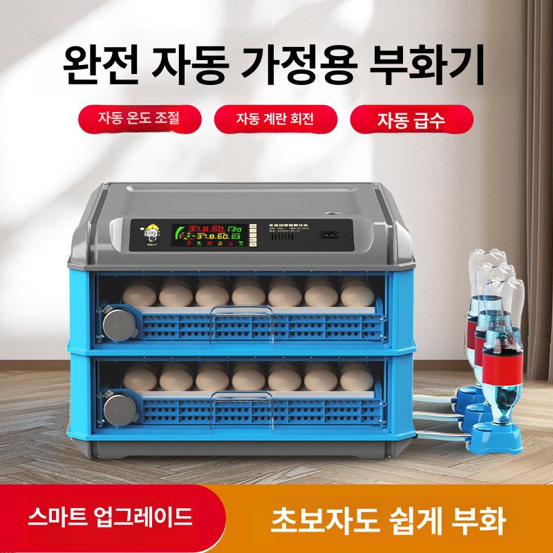 부화 업소용 유정란 가정용 병아리 달걀 24개 단일 전원 - 상세 이미지 2