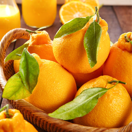 [고야미] 제주 꿀맛 고당도 한라봉 1kg ~ 10kg 가정용 귤 제철과일 산지직송 못난이 흠과