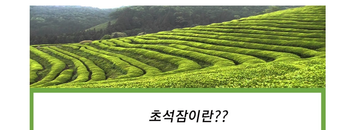 초석잠 초석잠즙 100ml 30포 1개 - 상세 이미지 5