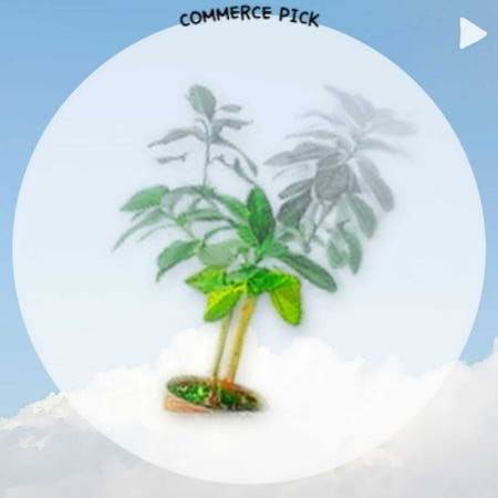 온수매트 허니밤 싱글 1인용 전기 요 장판 일월 100x200 커머스픽101