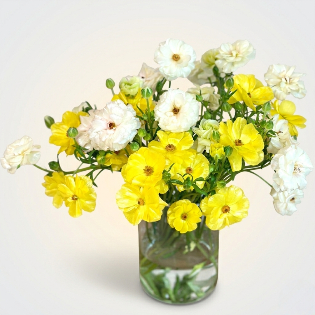 리틀캠든 버터플라이 라넌큘러스 생화 합리적인 온라인꽃집 솔직 후기 | 실사용자 리뷰 분석 - 대표 이미지