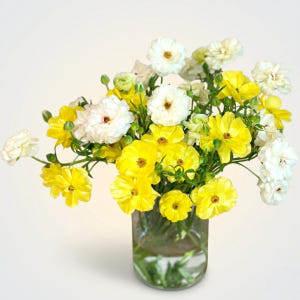 리틀캠든 버터플라이 라넌큘러스 생화 합리적인 온라인꽃집 솔직 후기 | 실사용자 리뷰 분석 - 상품 이미지 1