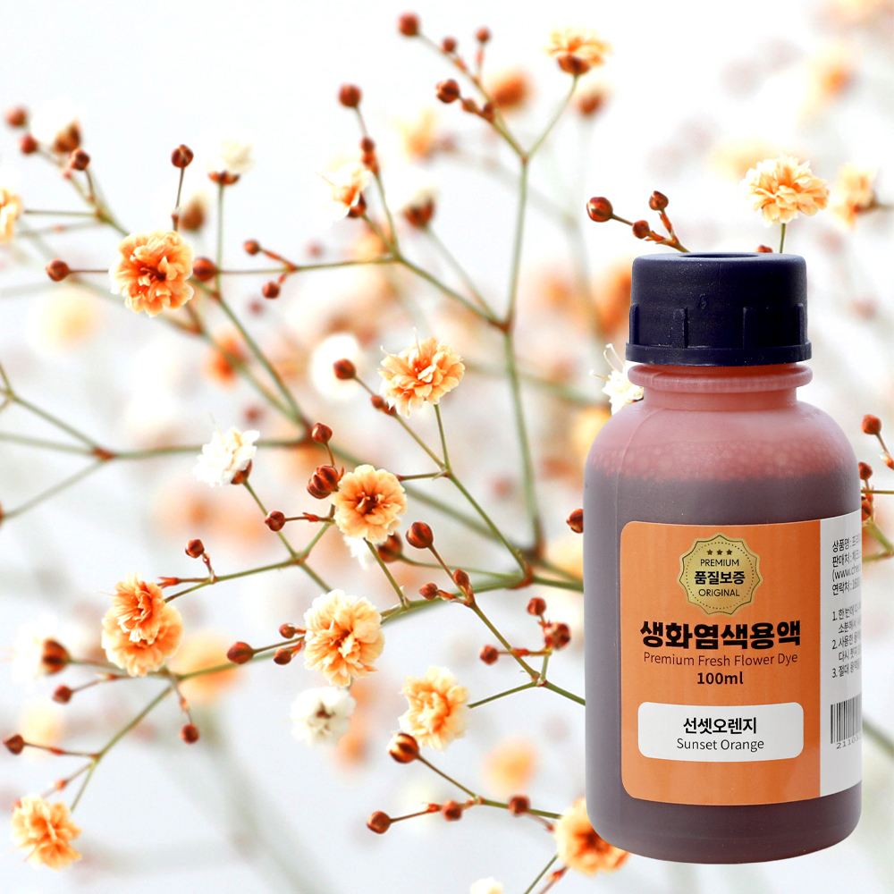 생화염색 안개꽃염색 압화만들기 꽃 물올림 카네이션 드라이플라워 100ml 이미지 7