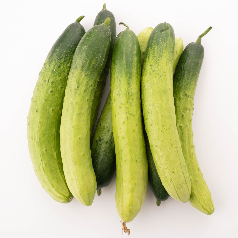 김채소 산지직송 국내산 백다다기 백 오이 상, 450g, 1개 - 상세 이미지 4