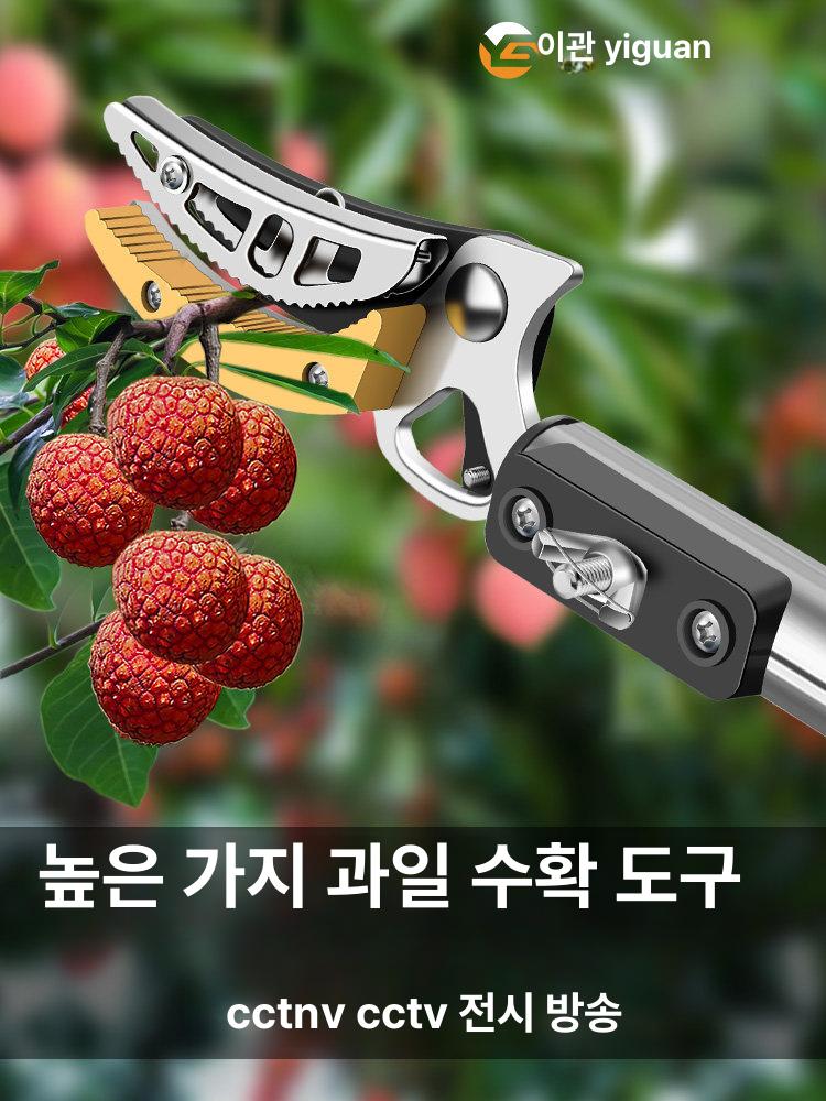 두릅 전지가위 장대 과일 감따는 수확기 기구 열매 집게 - 상세 이미지 2