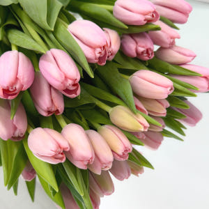 리틀캠든 튤립 생화 부케 생화배송 꽃배달 솔직 후기 | 실사용자 리뷰 분석 - 상품 이미지 1