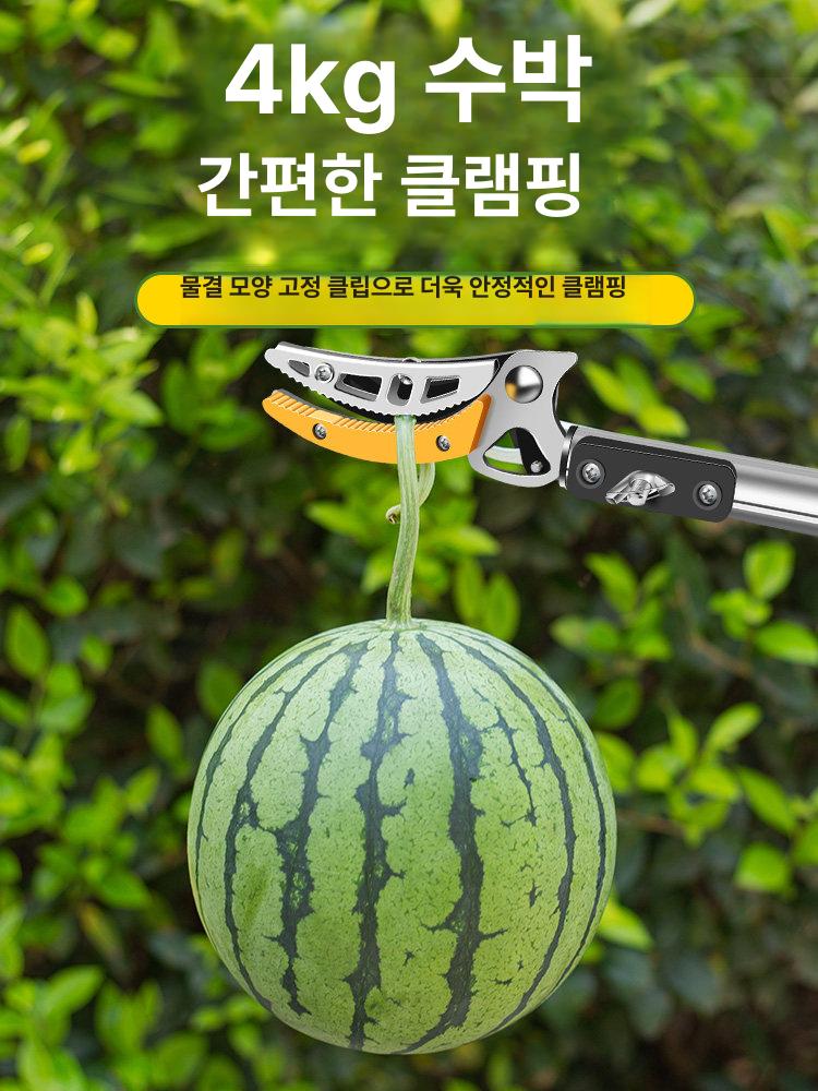 두릅 전지가위 장대 과일 감따는 수확기 기구 열매 집게 - 상세 이미지 5