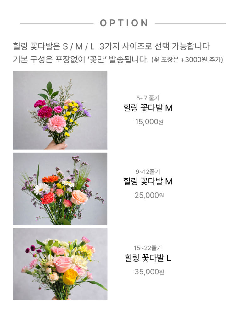 샤샤플라워 힐링 꽃다발S 소형한다발 생화꽃다발 꽃정기구독 계절랜덤 꽃배달 상세 이미지 8
