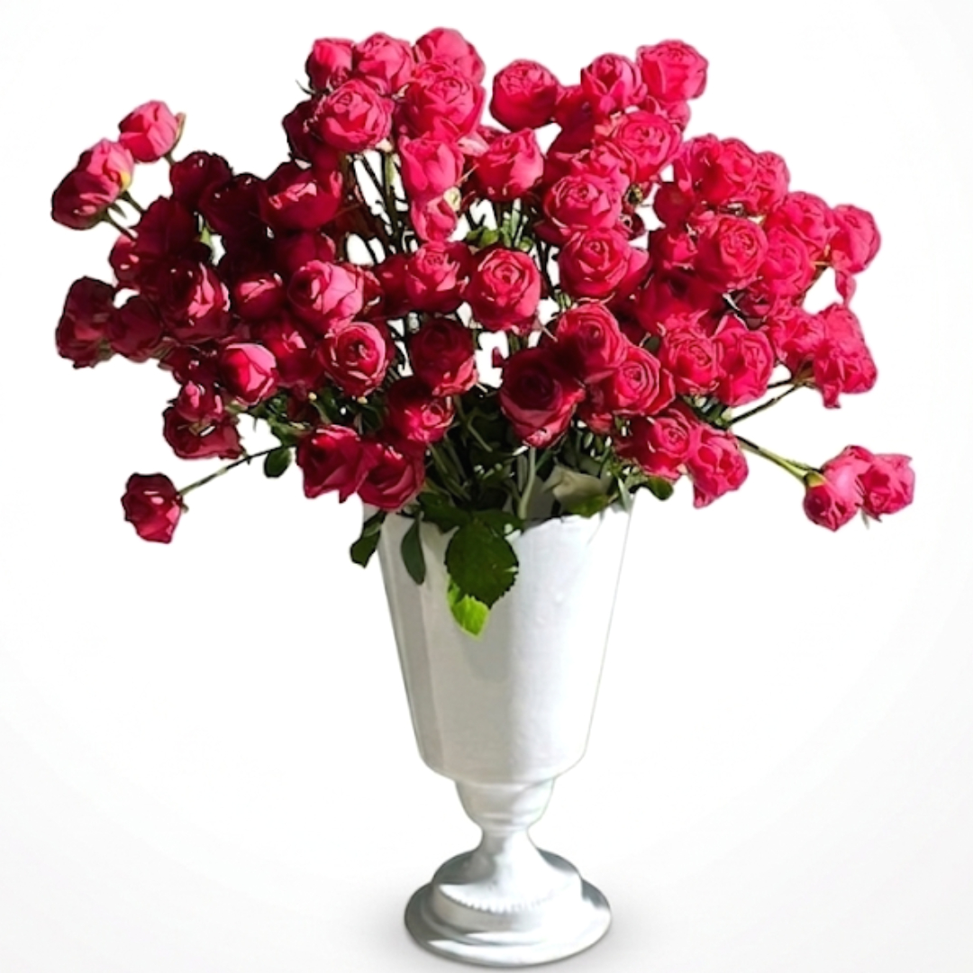 리틀캠든 미니 장미 100송이 생화택배 생화꽃다발 정기구독 솔직 후기 | 실사용자 리뷰 분석 - 대표 이미지