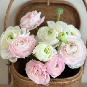 리틀캠든 라넌큘러스 생화 합리적인 온라인꽃집 솔직 후기 | 실사용자 리뷰 분석 - 상품 이미지 4