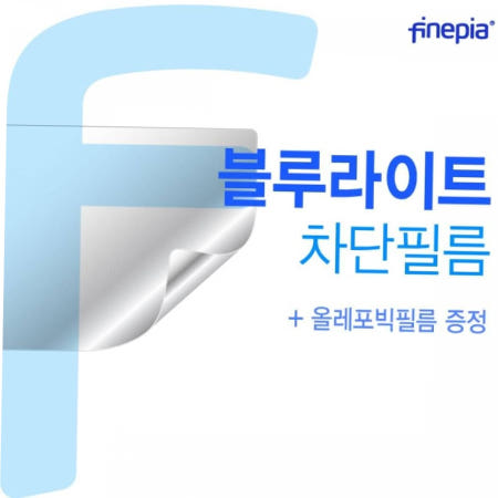 지문방지 TBZ LEGION 5 3060 블루라이트컷필름F 17ACH R7 W10용