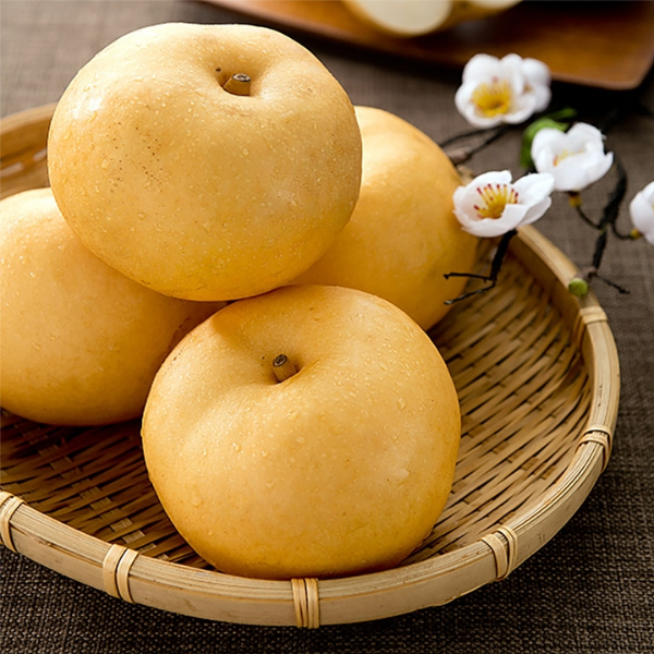 자연가득 나주 상주 프리미엄 가정용 신고배 3kg 5kg - 상품 이미지
