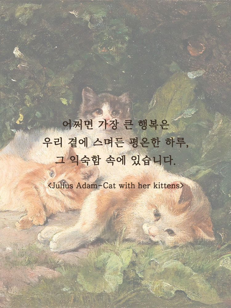 패브릭 북커버 6공 바인더 A6 다이어리커버 현금 챌린지 해피니스 프릴밴드 1P - 상세 이미지 3