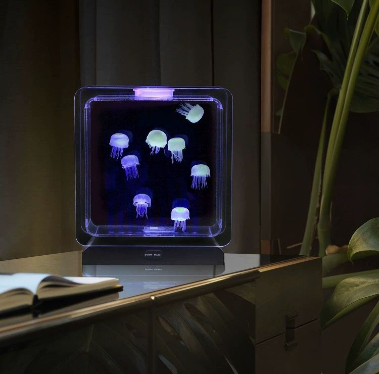무드등 해파리 수면등 침실 인테리어 LED 조명 어항 실리콘 단발 8개 USB 케이블 - 상품 이미지